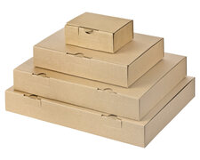 Maxibriefkarton und Warensendung Versandkarton, 235x155x46 fr Din A5, braun