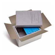 Isolierboxen mit Deckel aus Neopor® Akkuversion 330x225x225mm 7,3L inkl. Umkarton