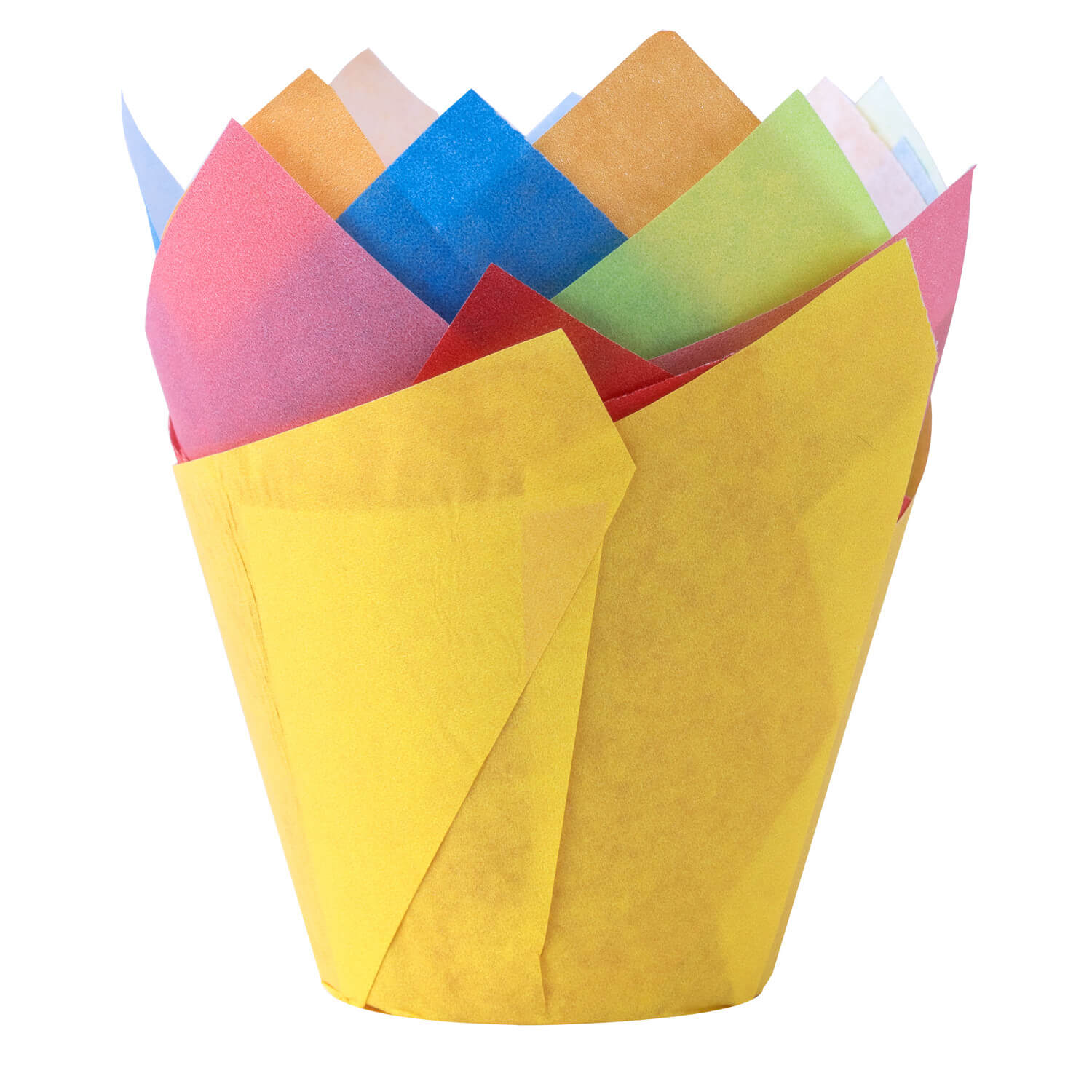 Muffin-Tulip-Wraps  50 x 85 mm farbig sortiert, 160x160 mm, 24 Stk.